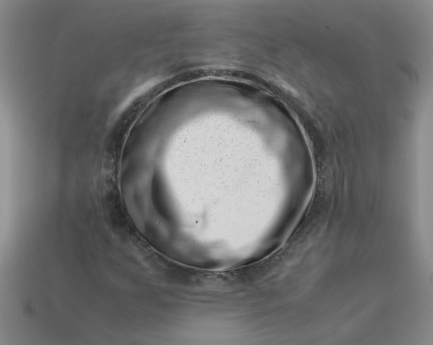 X0000113991255200910161638