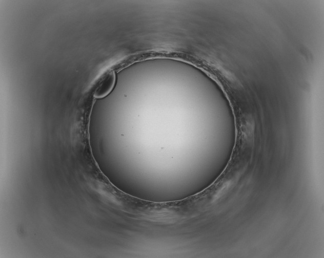 X0000113991256200910161638