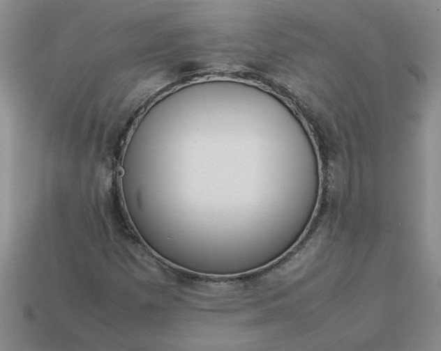 X0000113991257200910161638