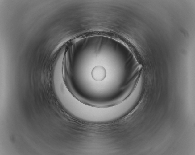 X0000113991258200910161638