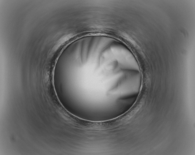 X0000113991259200910161638