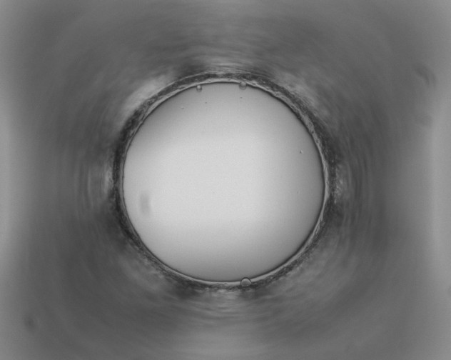 X0000113991261200910161638