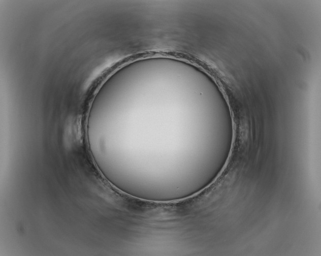 X0000113991262200910161638