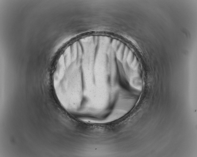 X0000113991263200910161638