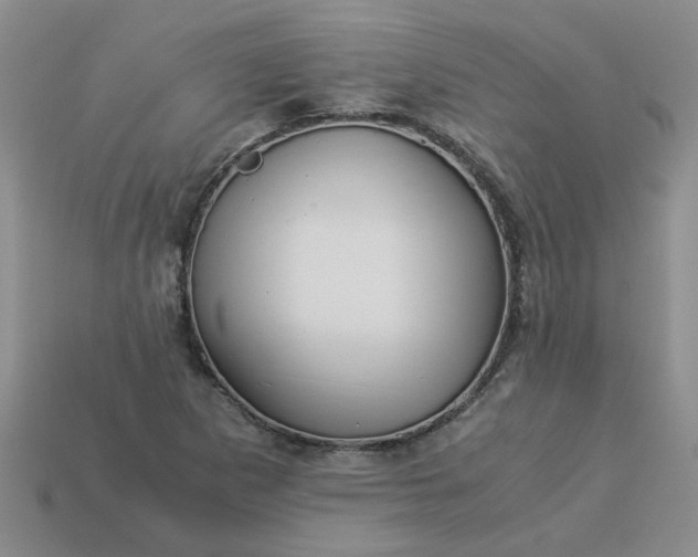 X0000113991265200910161638