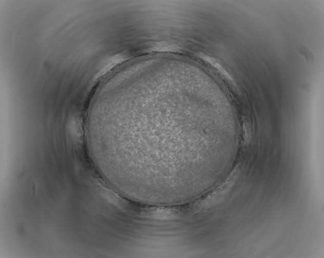 X0000113991266200910161638