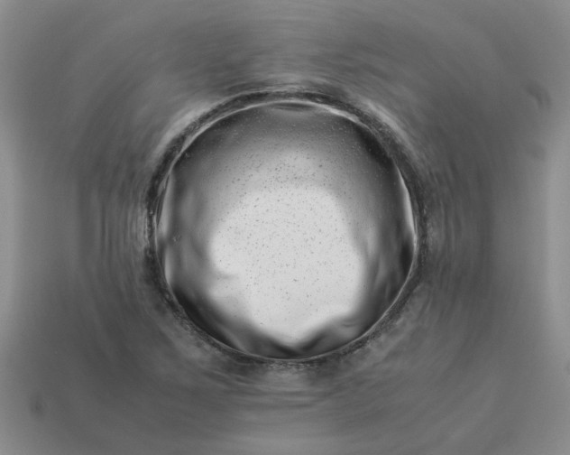 X0000113991267200910161638