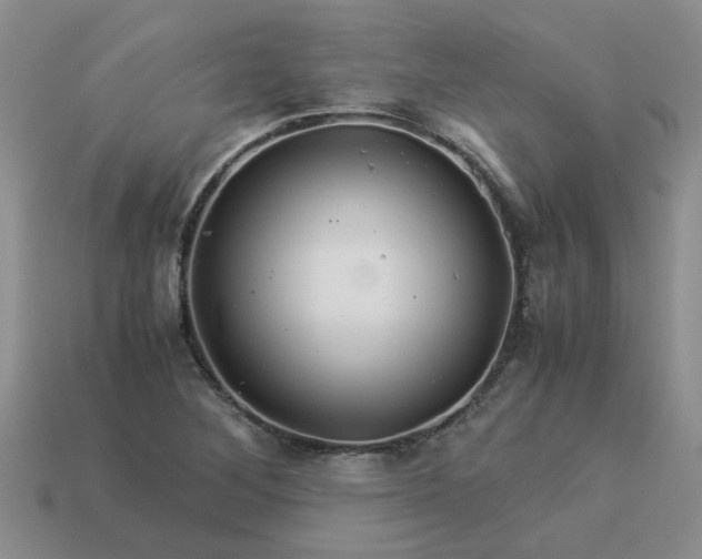 X0000113991268200910161638