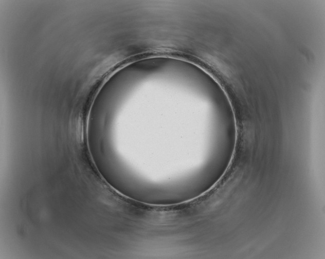 X0000113991269200910161638