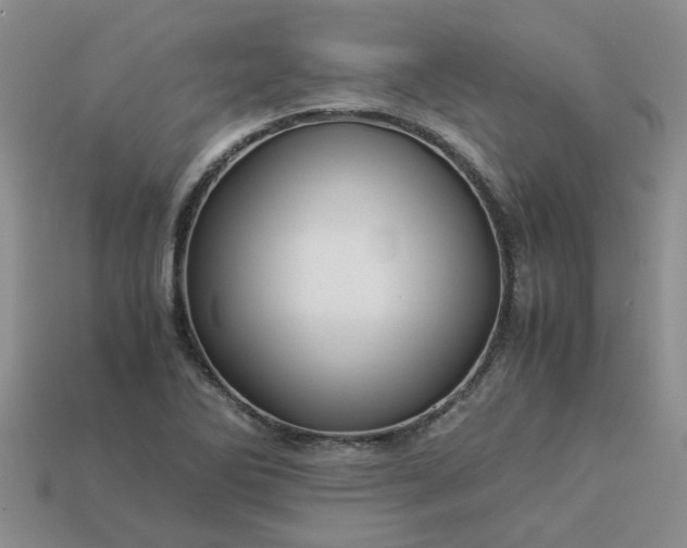 X0000113991270200910161638