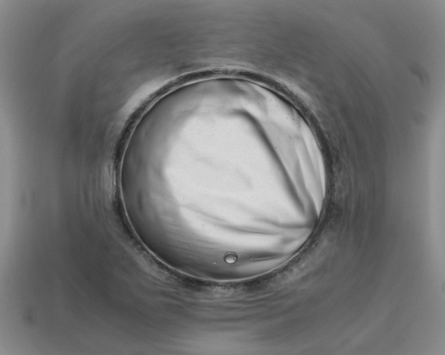 X0000113991271200910161638