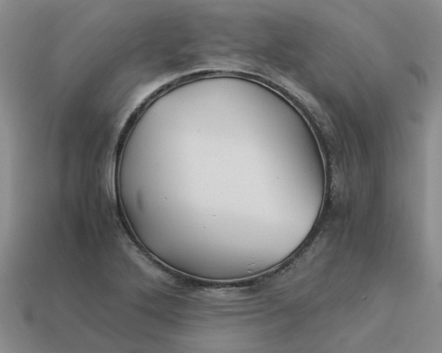 X0000113991272200910161638