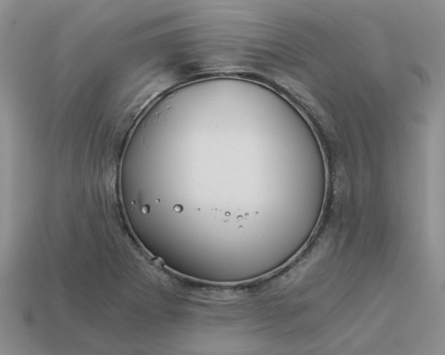 X0000113991273200910161638