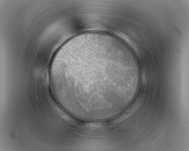 X0000113991274200910161638