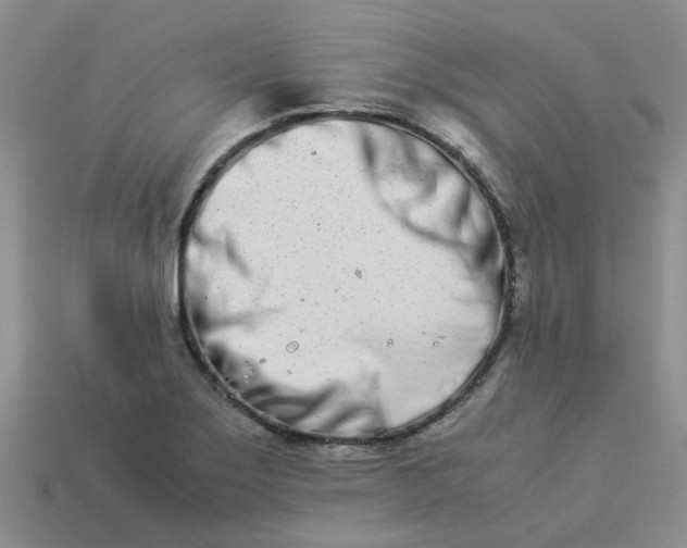 X0000113991275200910161638