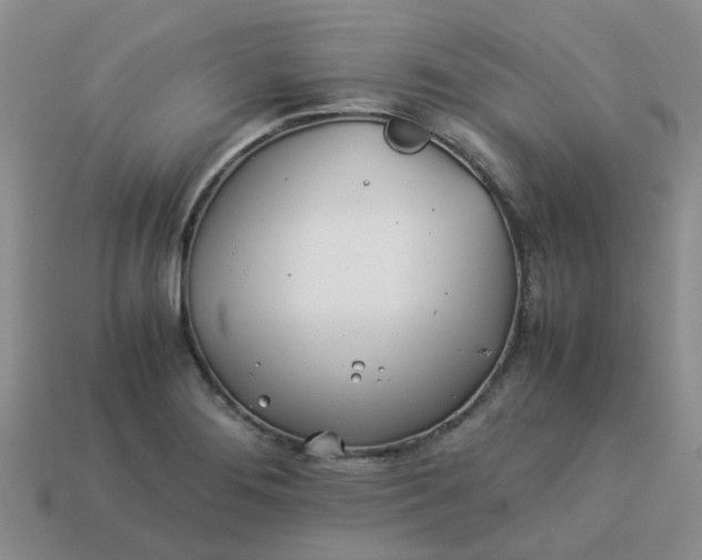 X0000113991276200910161638