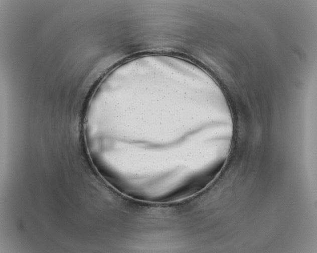 X0000113991277200910161638