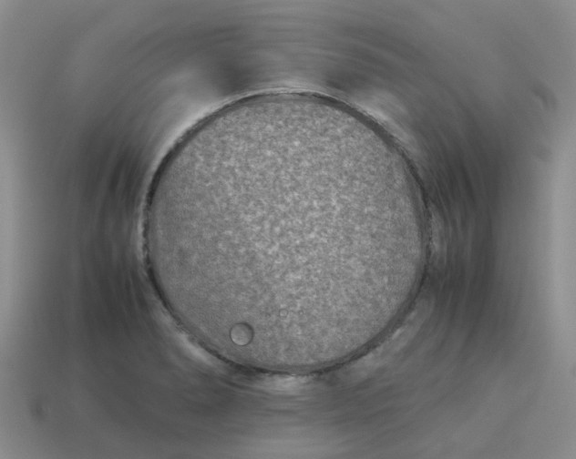 X0000113991278200910161638