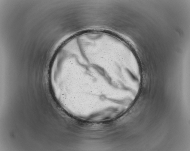 X0000113991279200910161638