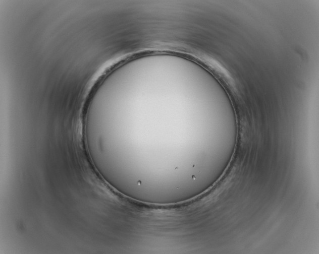 X0000113991280200910161638