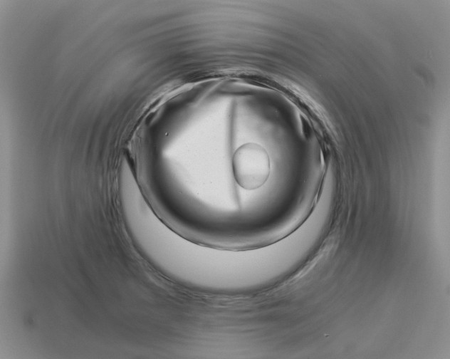 X0000113991281200910161638