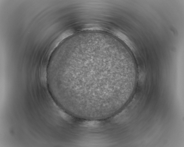 X0000113991282200910161638