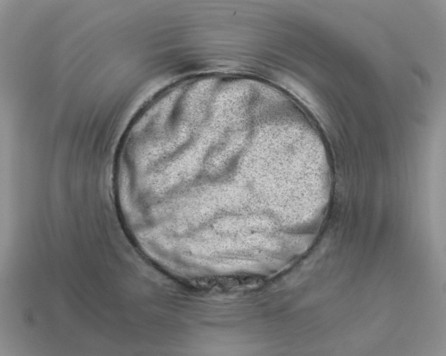 X0000113991283200910161638