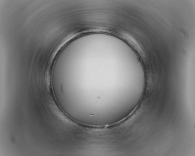 X0000113991284200910161638