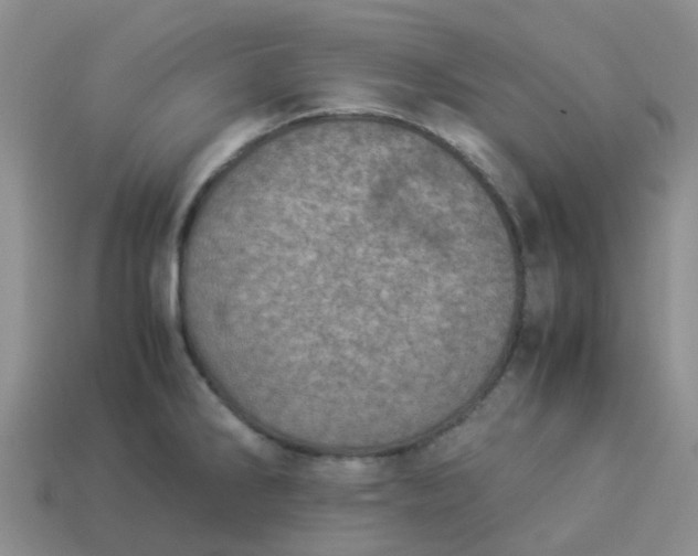 X0000113991286200910161638