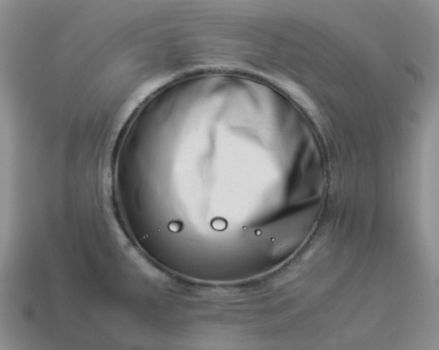 X0000113991287200910161638