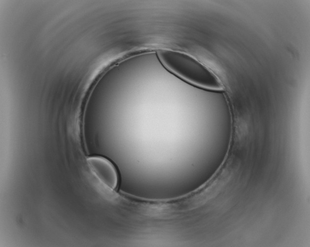 X0000113991288200910161638