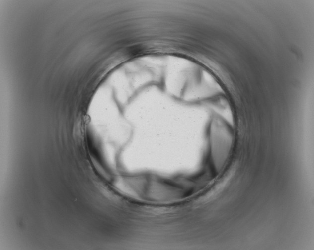 X0000113991289200910161638