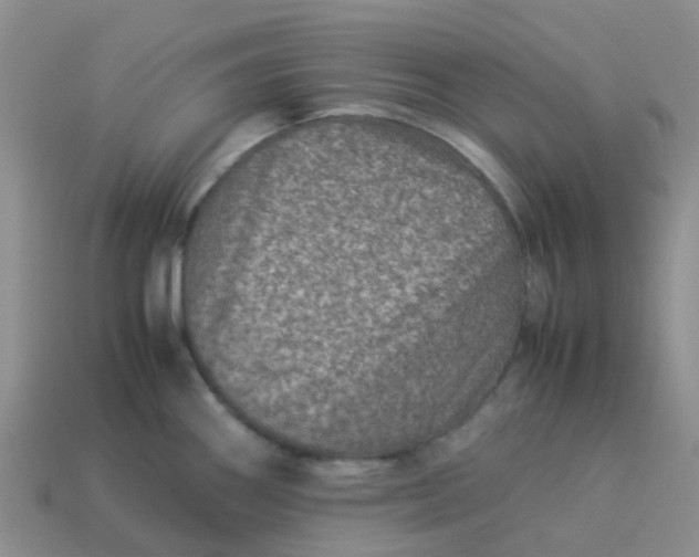 X0000113991290200910161638