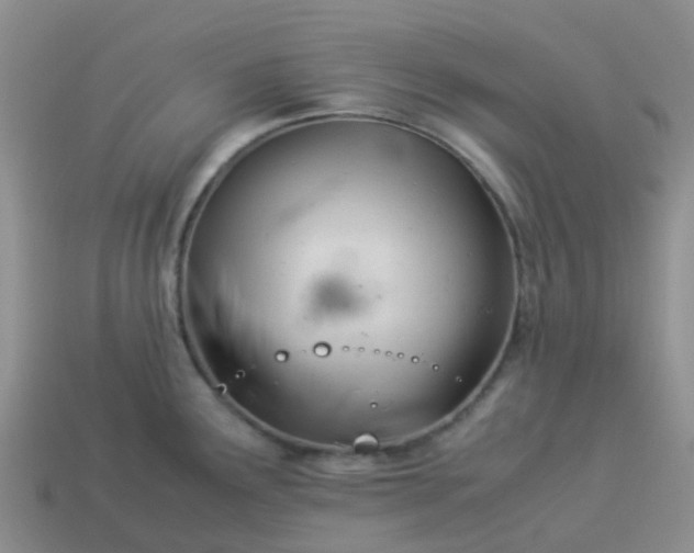 X0000113991291200910161638