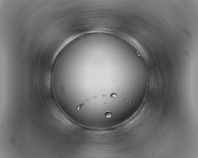 X0000113991292200910161638