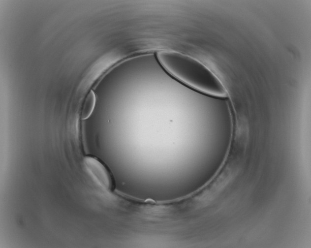 X0000113991293200910161638