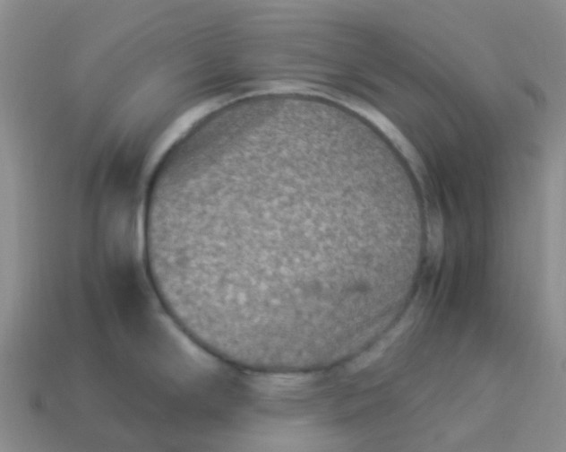 X0000113991294200910161638