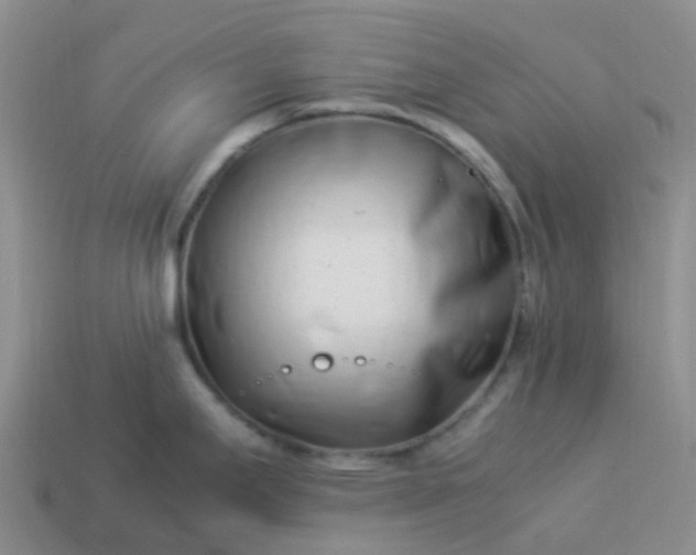 X0000113991295200910161638