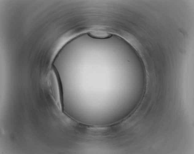 X0000113991296200910161638