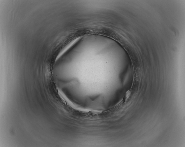 X0000113991298200910161637