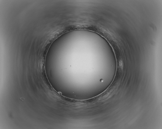 X0000113991300200910161637