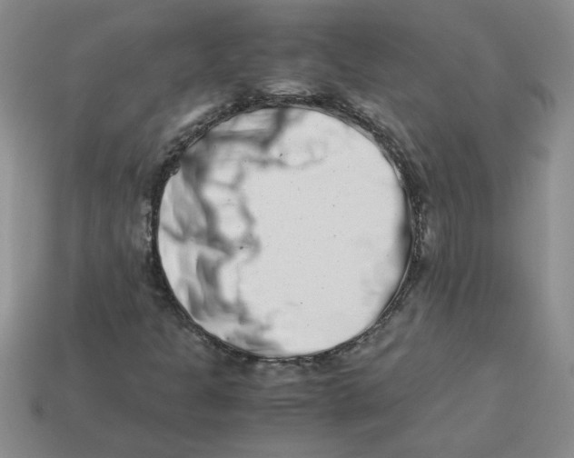 X0000113991301200910161637