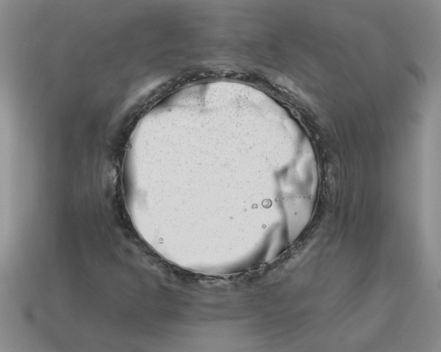 X0000113991302200910161637