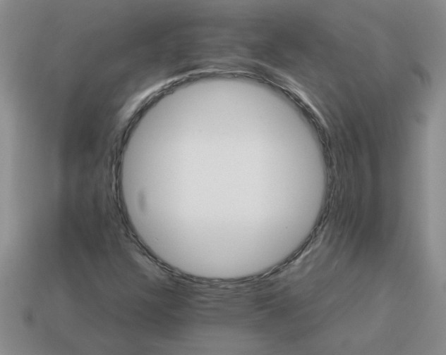 X0000113991304200910161637