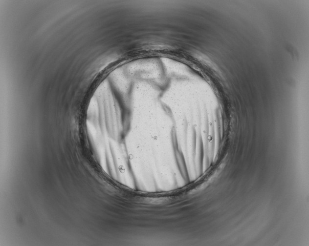 X0000113991305200910161637