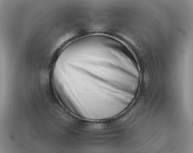 X0000113991309200910161637