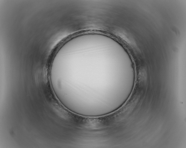 X0000113991310200910161637