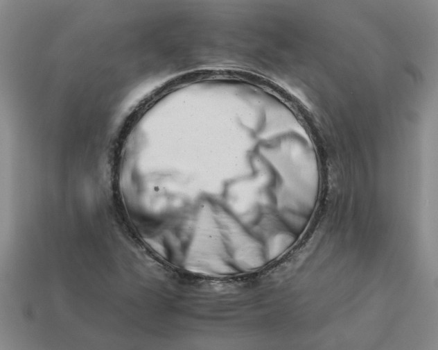 X0000113991311200910161637