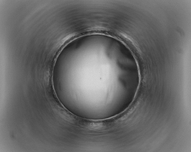 X0000113991313200910161637