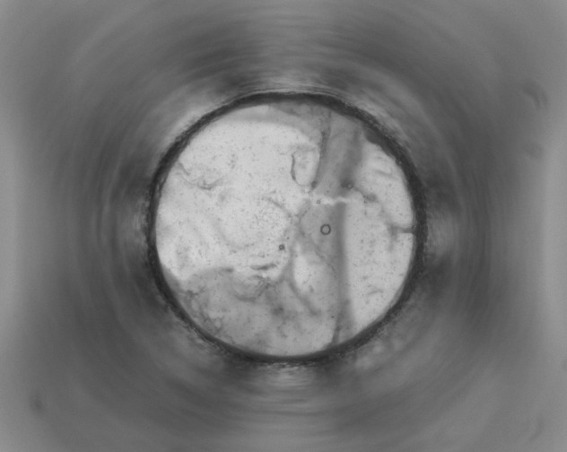 X0000113991314200910161637